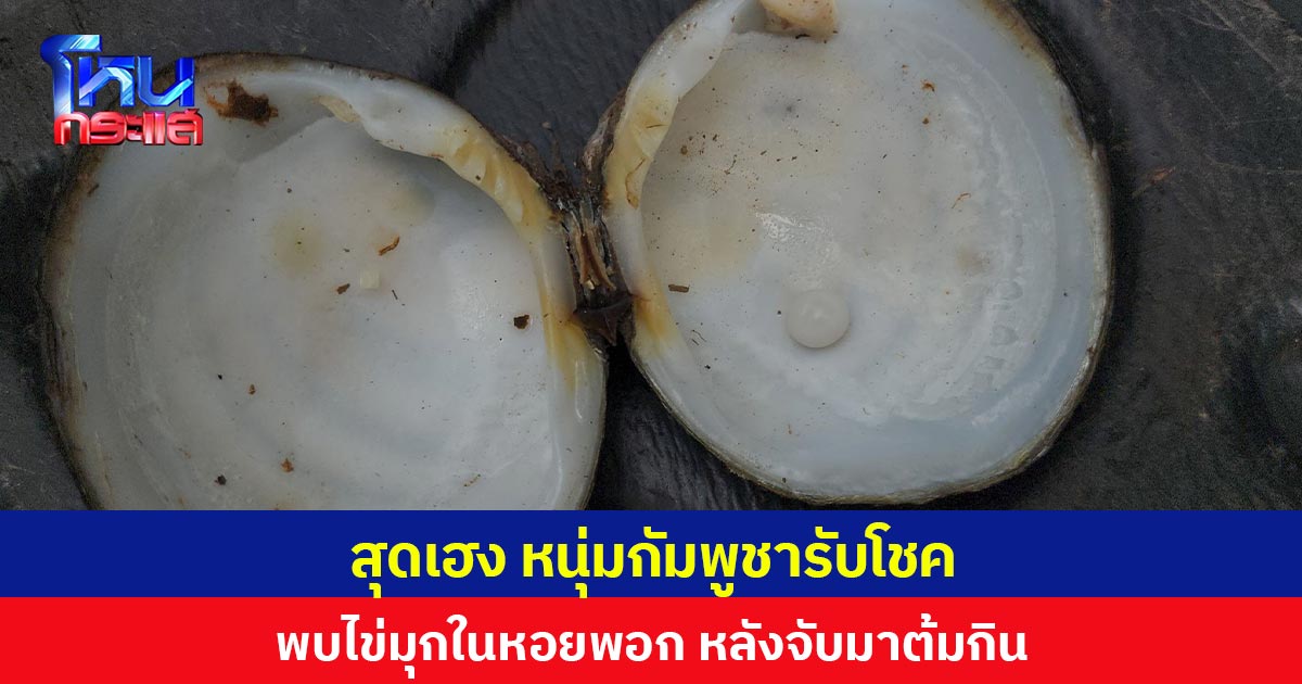 สุดเฮง หนุ่มกัมพูชารับโชค พบไข่มุกในหอยพอก หลังจับมาต้มกิน