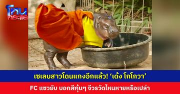 ‘เด้ง โกโกวา’ ใครขยับโดนสวบ! พี่ๆ แฟนคลับแซวยับ บอกเกือบใส่บาตรให้ จีวรวัดไหนหายหรือเปล่า