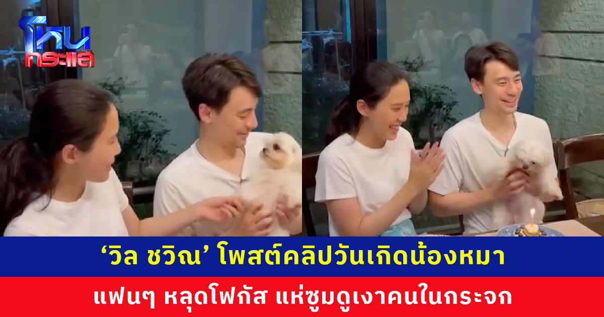 ‘วิล ชวิณ’ โพสต์คลิปวันเกิดน้องหมา แฟนๆ หลุดโฟกัส แห่ซูมดูเงาคนในกระจก