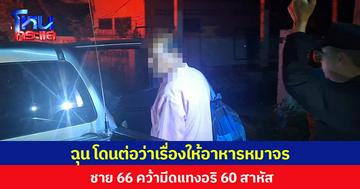 ฉุน โดนต่อว่าเรื่องให้อาหารหมาจร ชายอายุ 66 ปีคว้ามีดแทงอริอายุ 60 ปีบาดเจ็บสาหัส