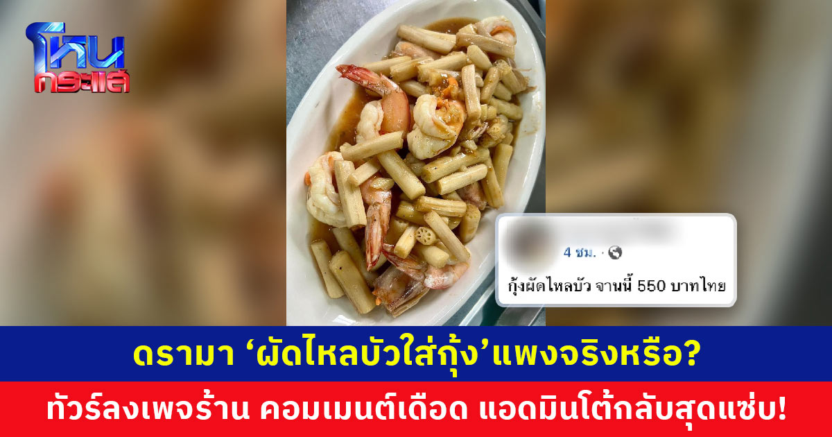 ดรามา ‘ผัดไหลบัวใส่กุ้ง’ ขายแพงจริงหรือ? หลังทัวร์ลงเพจร้าน คอมเมนต์เดือด ด้านแอดมินโต้กลับสุดแซ่บ!