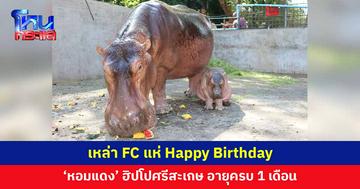 เหล่า FC แห่ Happy Birthday ครบ 1 เดือน 'น้องหอมแดง'